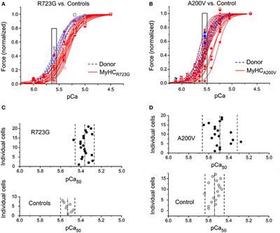 Burst-Like Transcription of Mutant and Wildtype MYH7-Alleles as Possible Origin of Cell-to-Cell Contractile Imbalance in Hypertrophic Cardiomyopathy